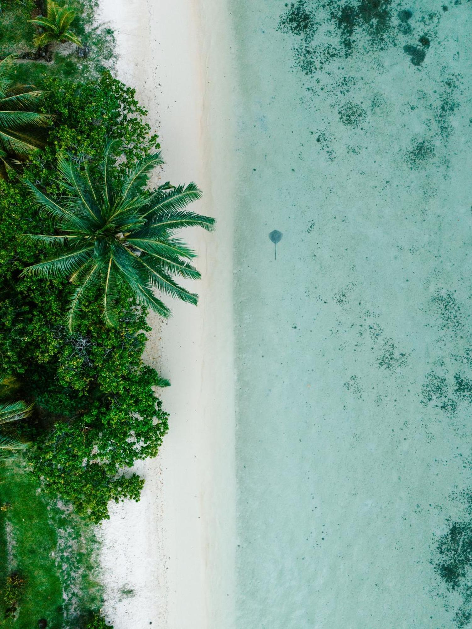 Niu Beach Hotel Moorea Ngoại thất bức ảnh