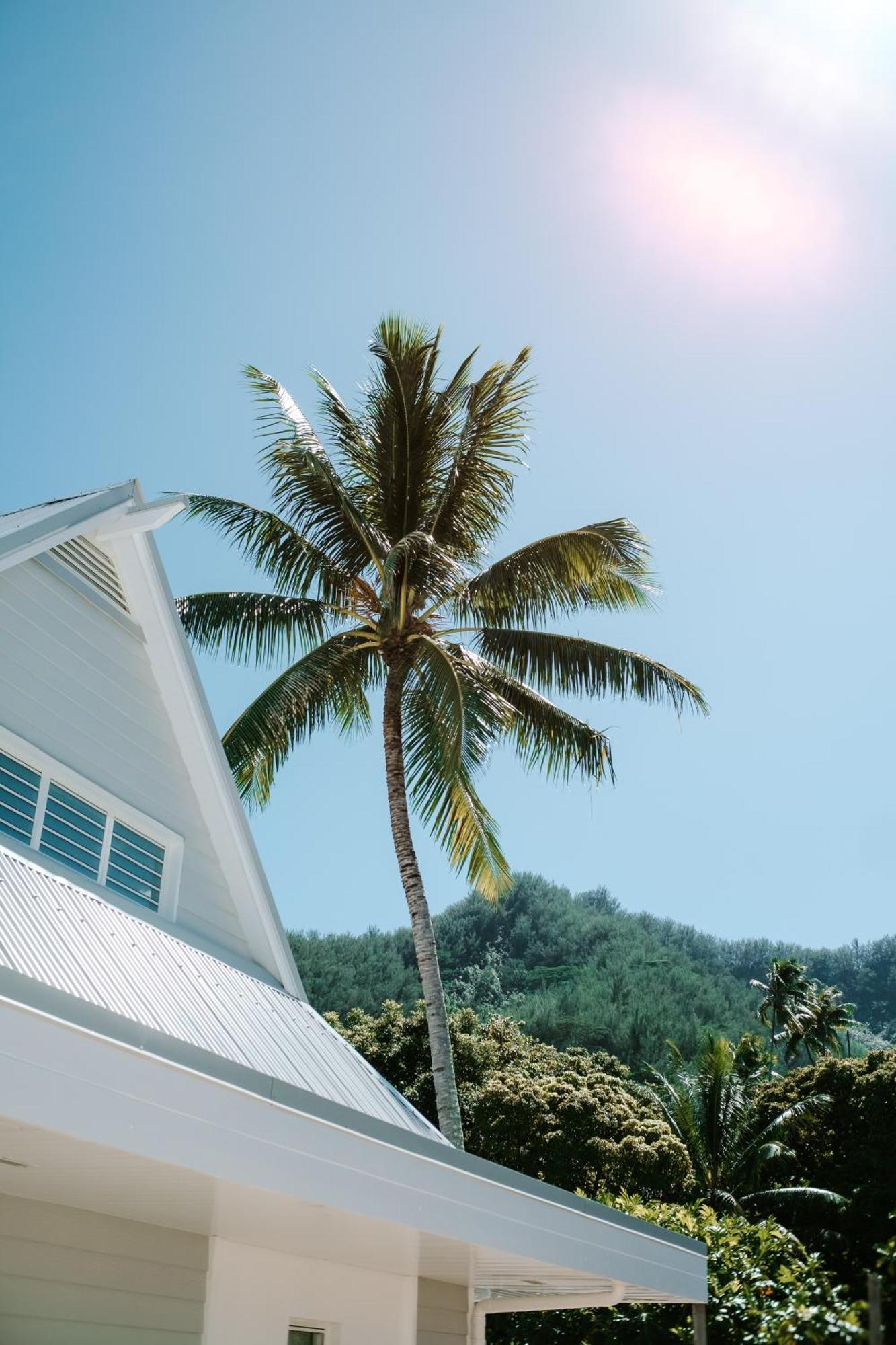 Niu Beach Hotel Moorea Ngoại thất bức ảnh
